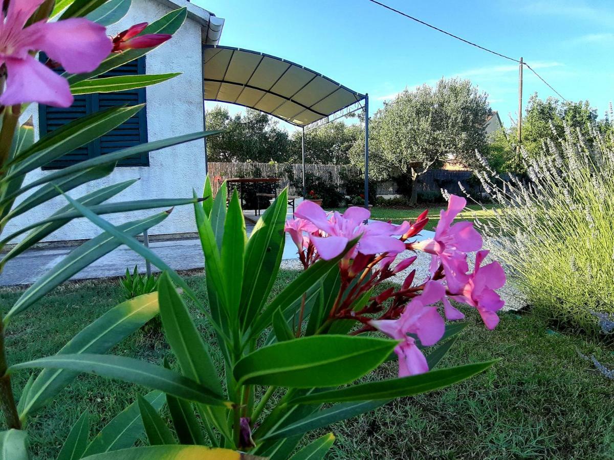 Holiday Home Villa Emma Debeljak Екстериор снимка