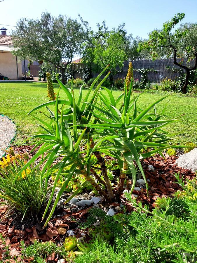 Holiday Home Villa Emma Debeljak Екстериор снимка