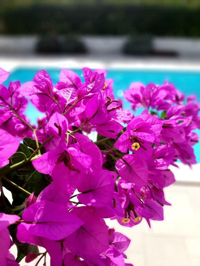 Holiday Home Villa Emma Debeljak Екстериор снимка